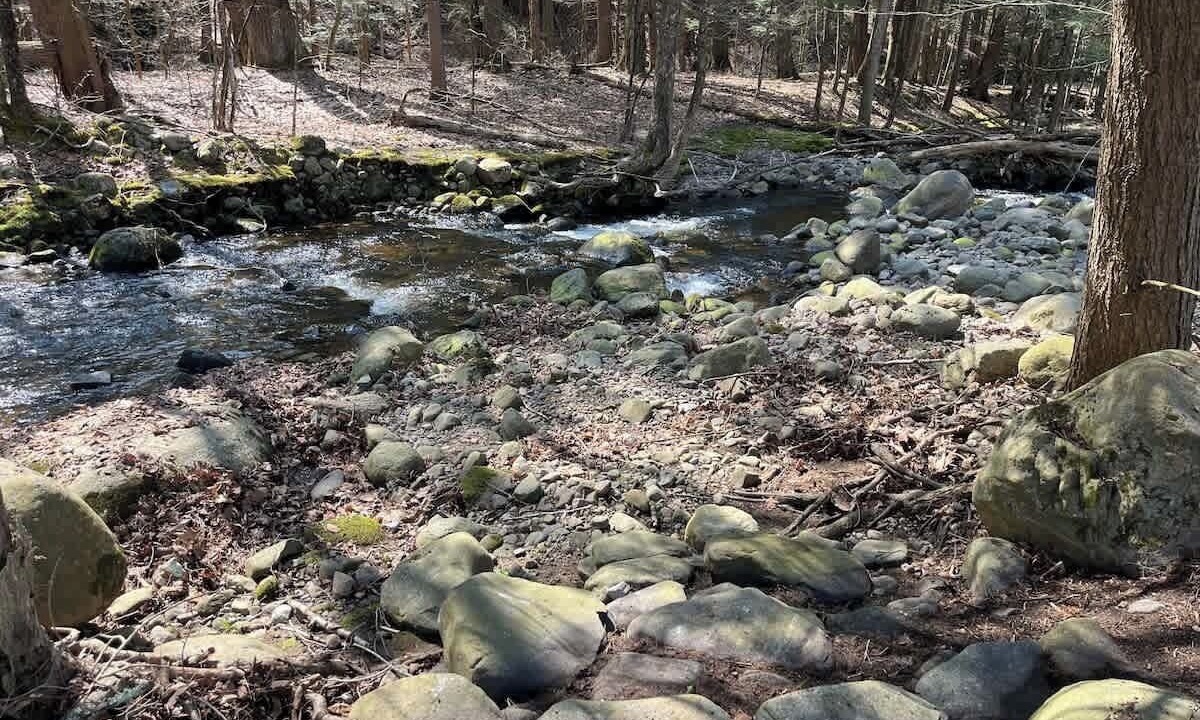 Photo of Others in Northville
