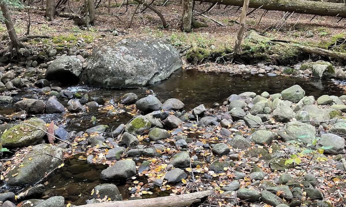 Photo of Others in Northville