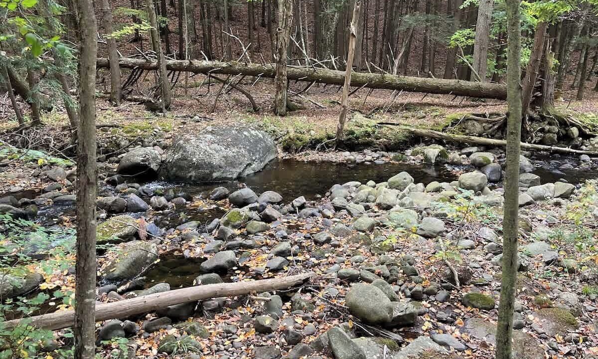 Photo of Others in Northville