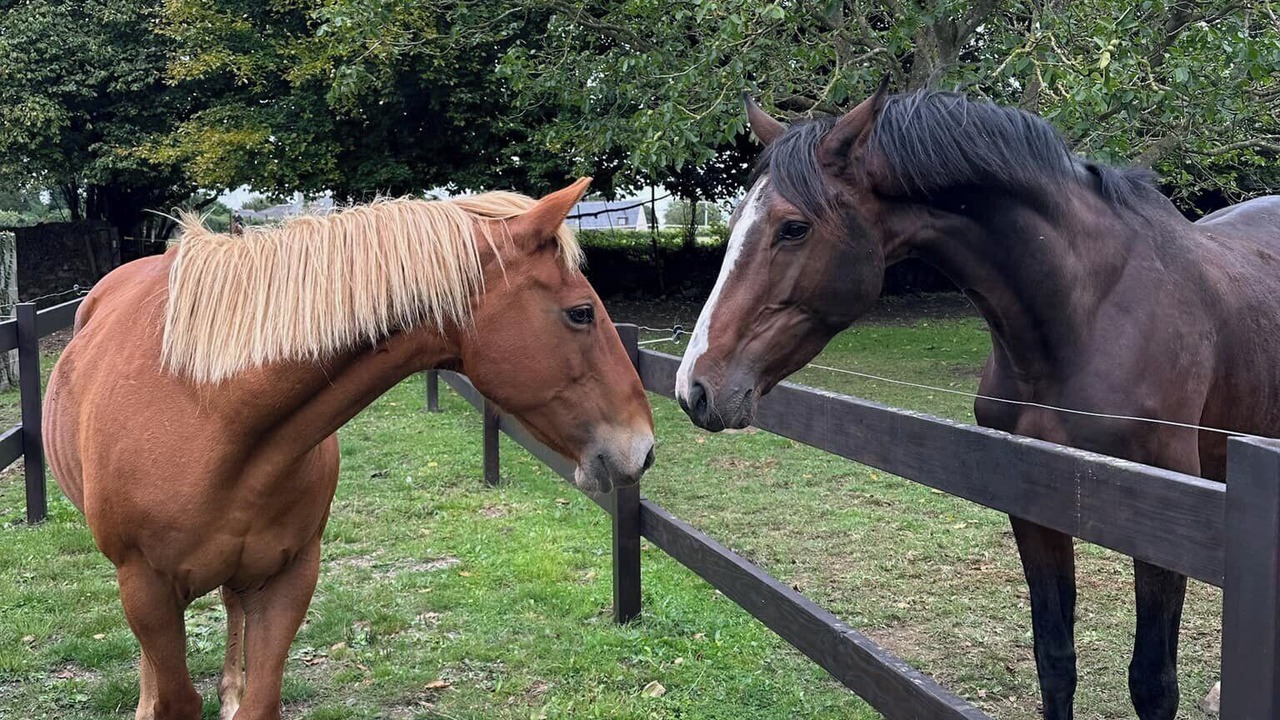 Photo of Others in Etables-sur-Mer