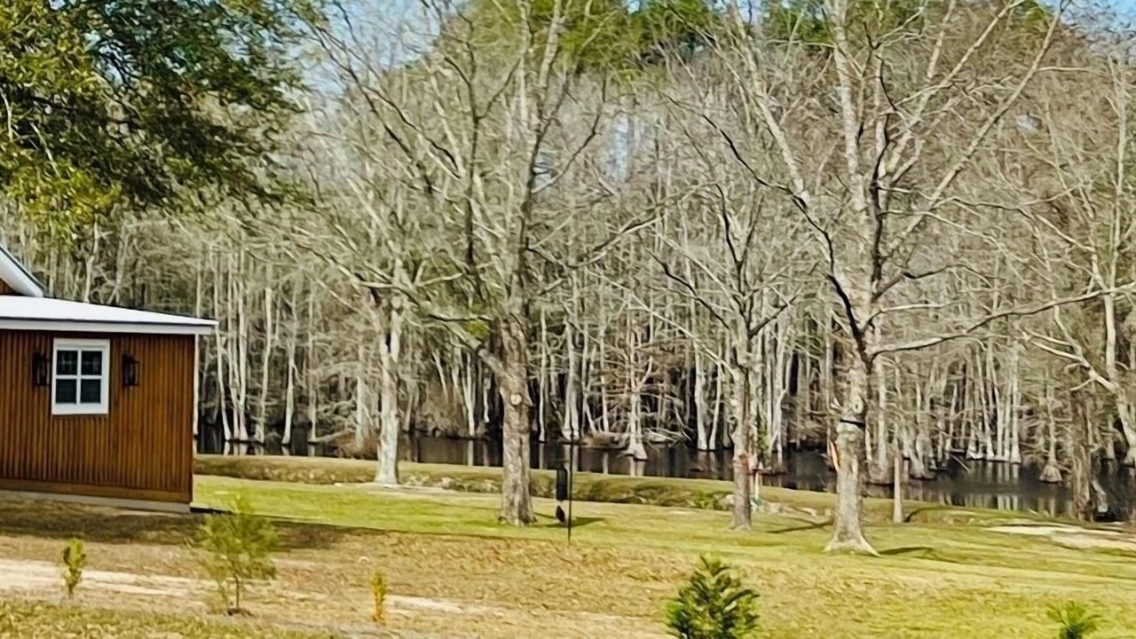 Photo of Outdoor in Geneva County