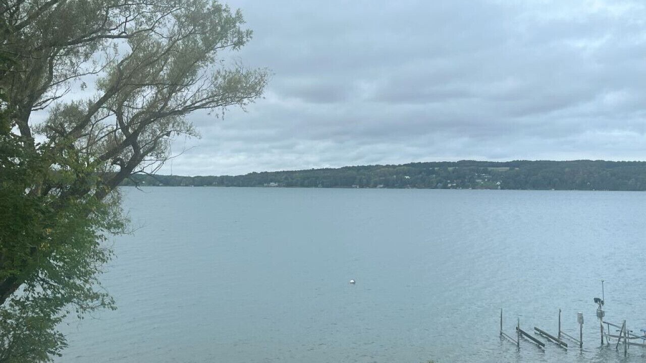 Photo of Others in Skaneateles