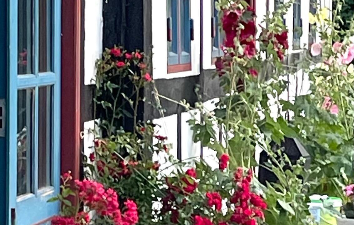 Photo of Outdoor in Haarby
