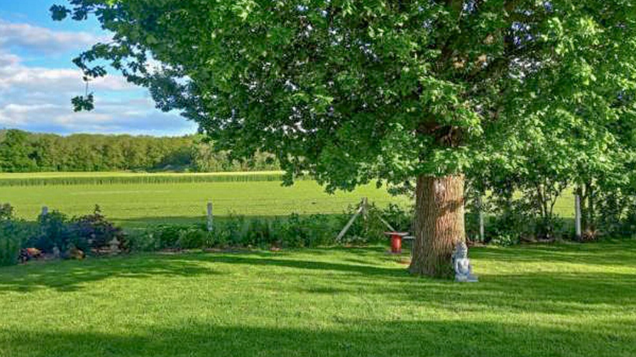 Photo of Others in Venon