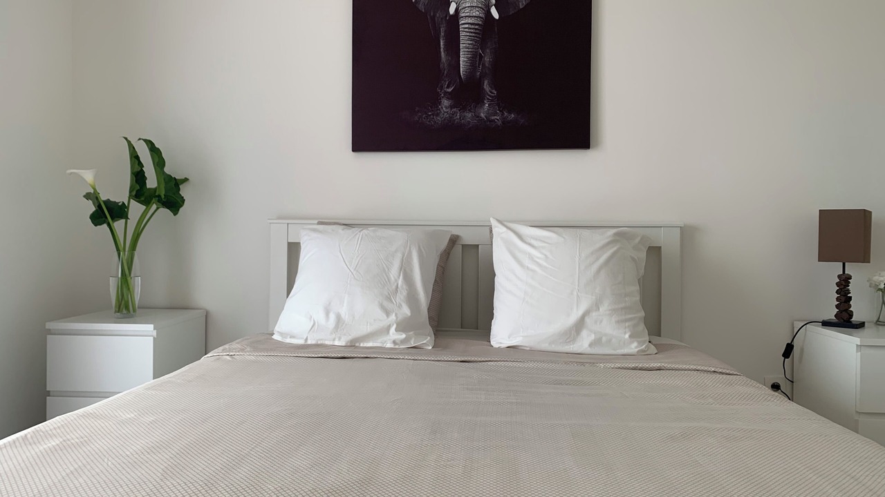 Photo of Bedroom in Festalemps