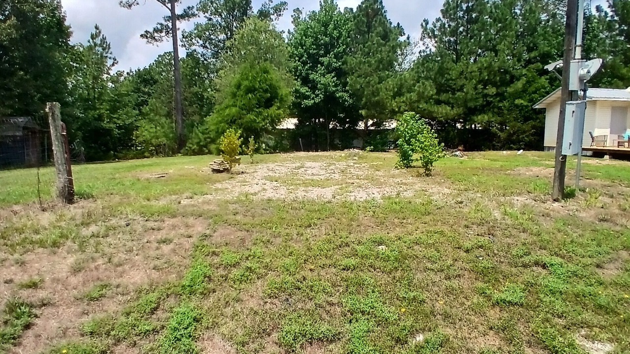 Photo of Outdoor in Royal