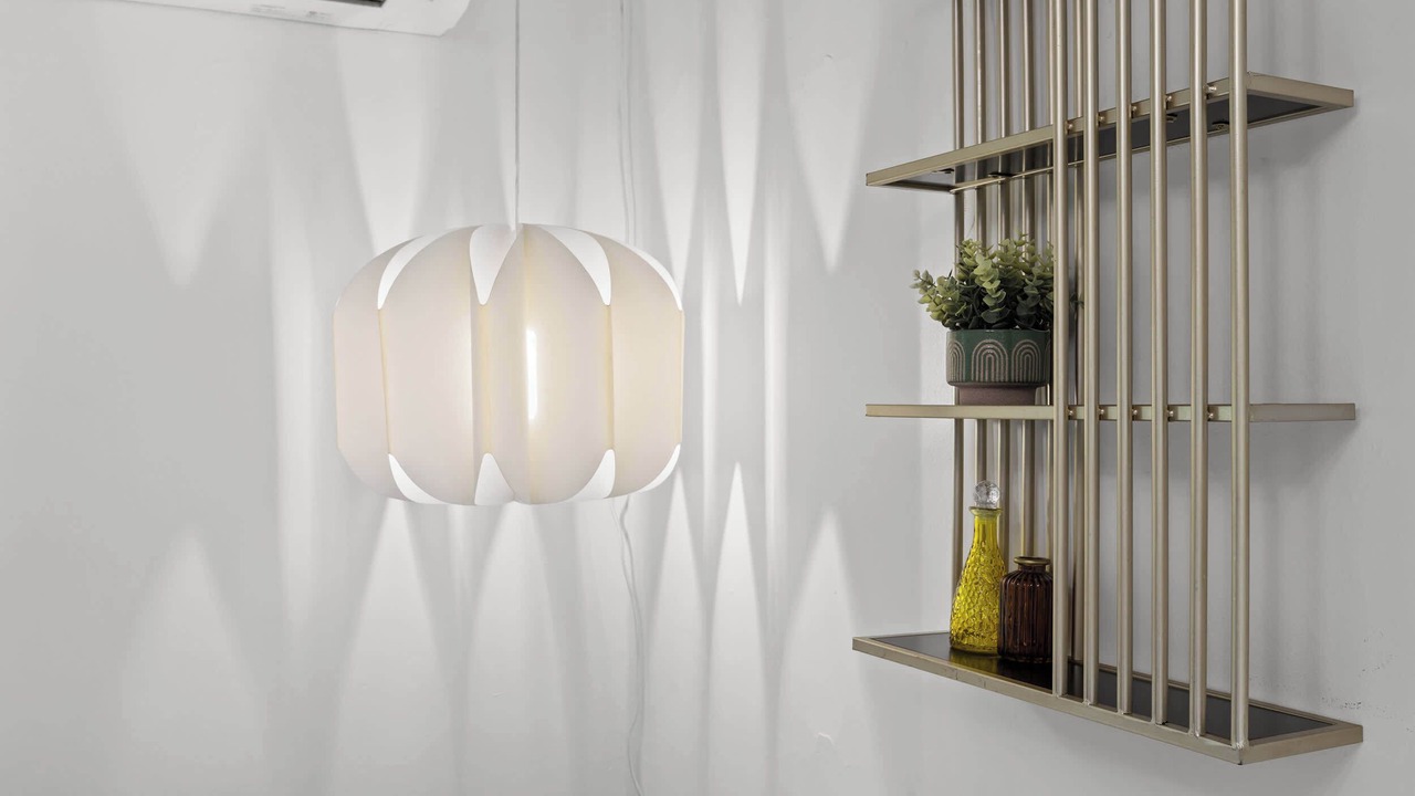 Photo of Others in Audubon