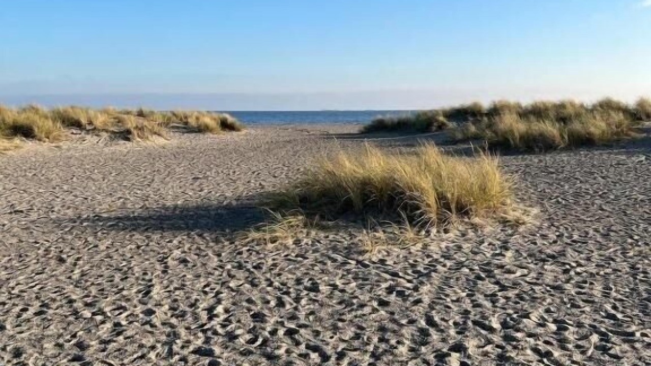 Photo of Others in Amager
