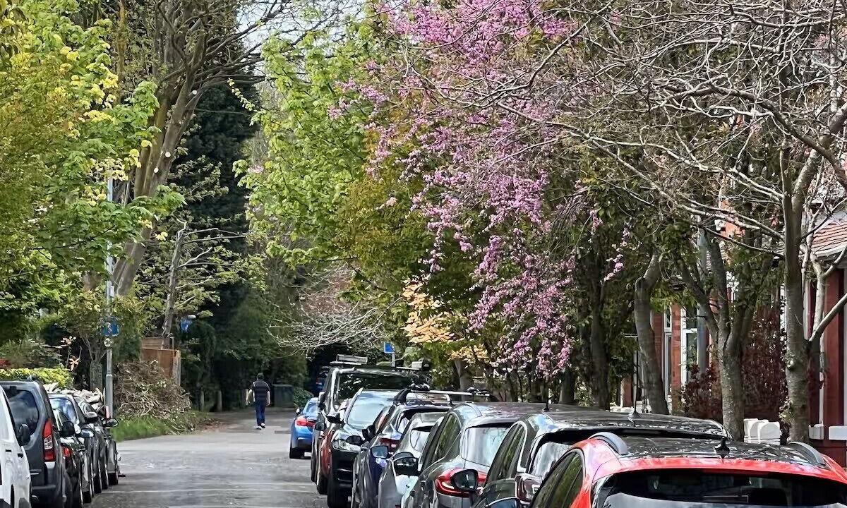 Photo of Others in Chorlton-cum-Hardy