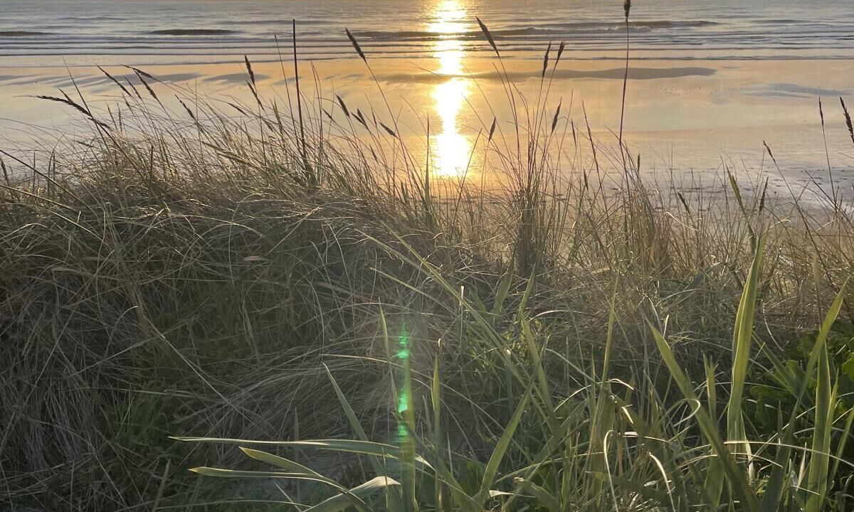 Photo of Others in Hardelot-Plage
