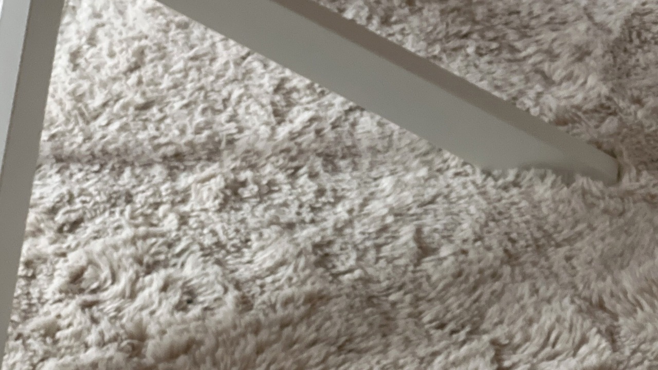 Photo of Others in Celleneuve