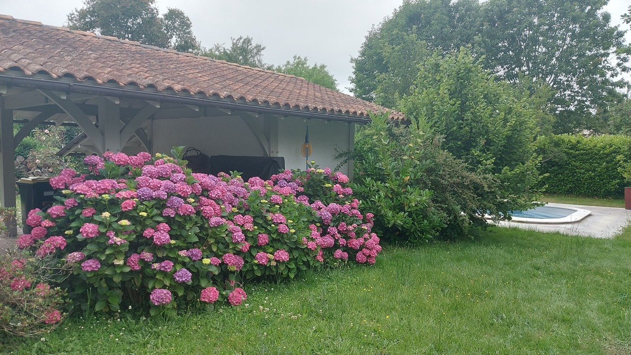 Photo of Outdoor in Saint-Sulpice-et-Cameyrac