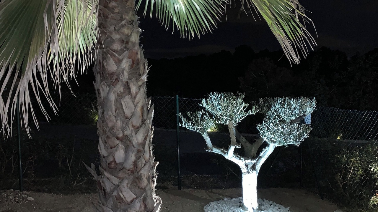 Photo of Outdoor in Lo Rufete