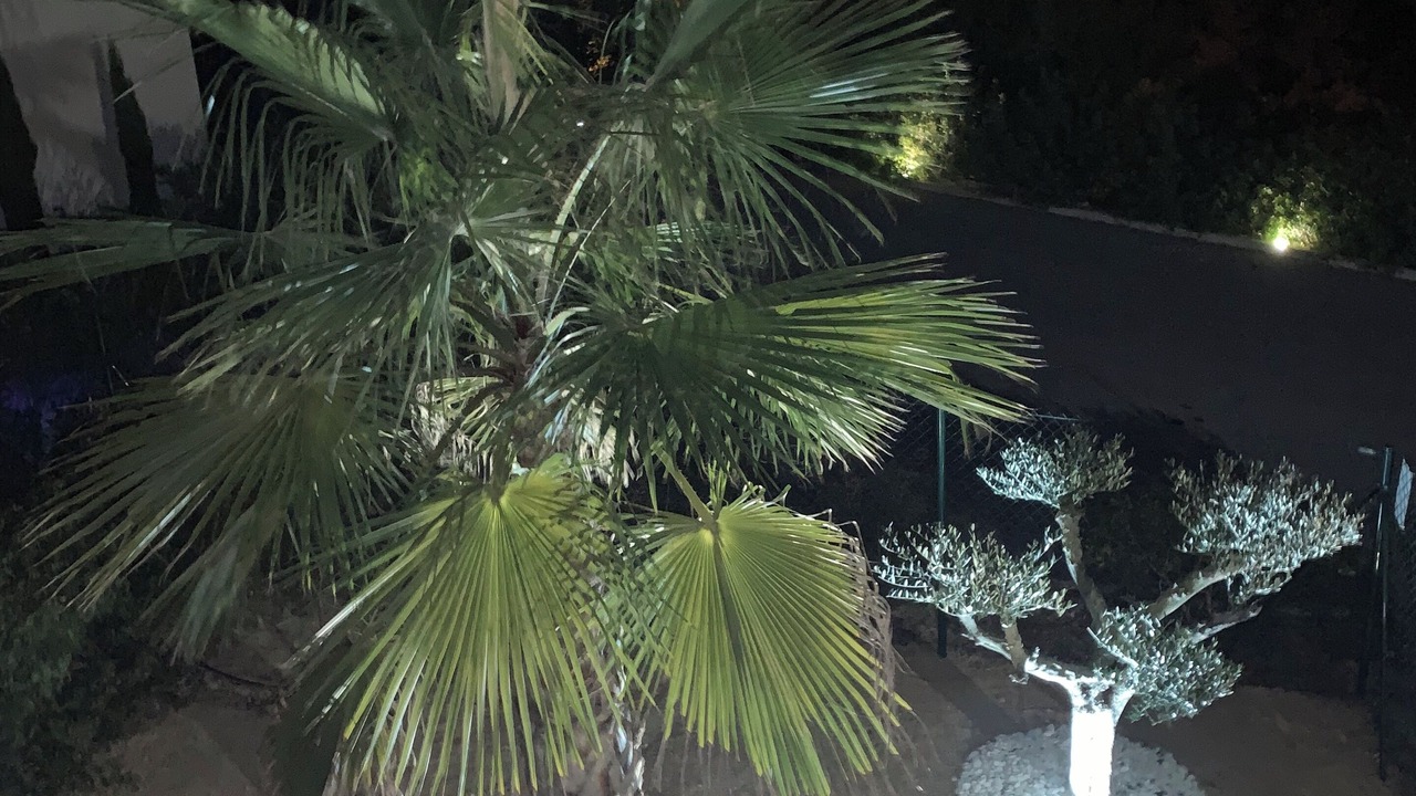 Photo of Outdoor in Lo Rufete