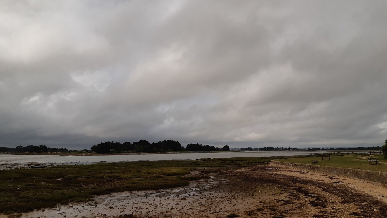 Photo of Others in Penvins