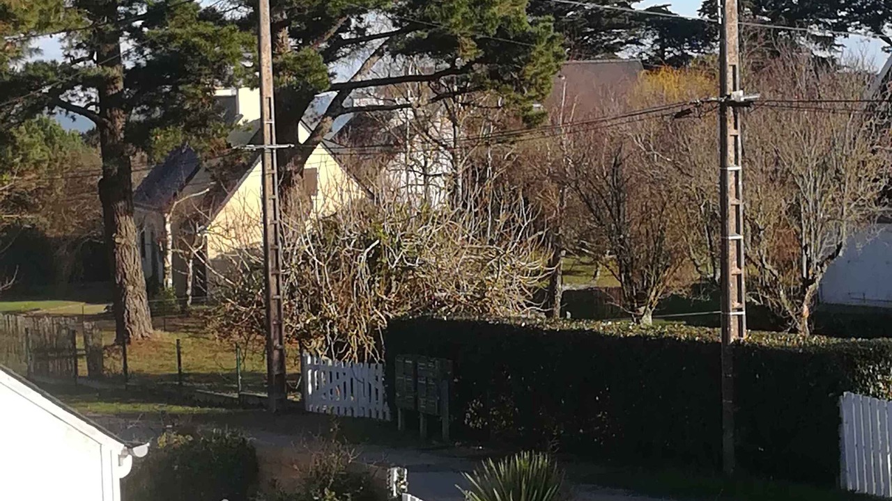 Photo of Outdoor in Penvins
