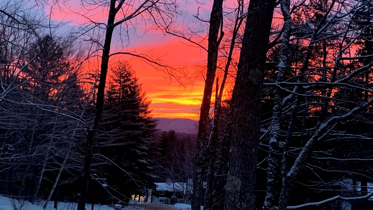 Photo of Others in Stowe Area