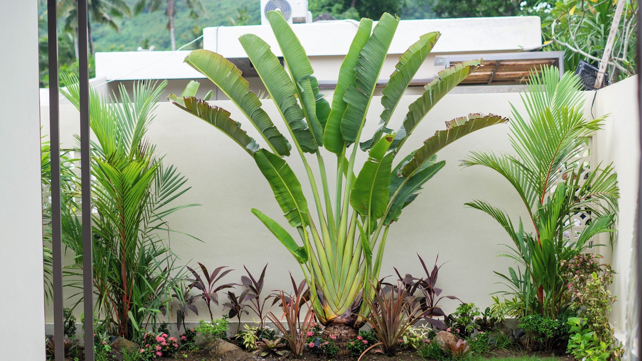 Photo of Outdoor in Kuta