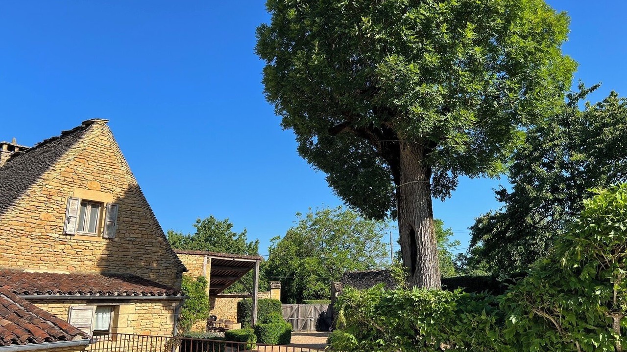 Photo of Outdoor in Saint-Genies