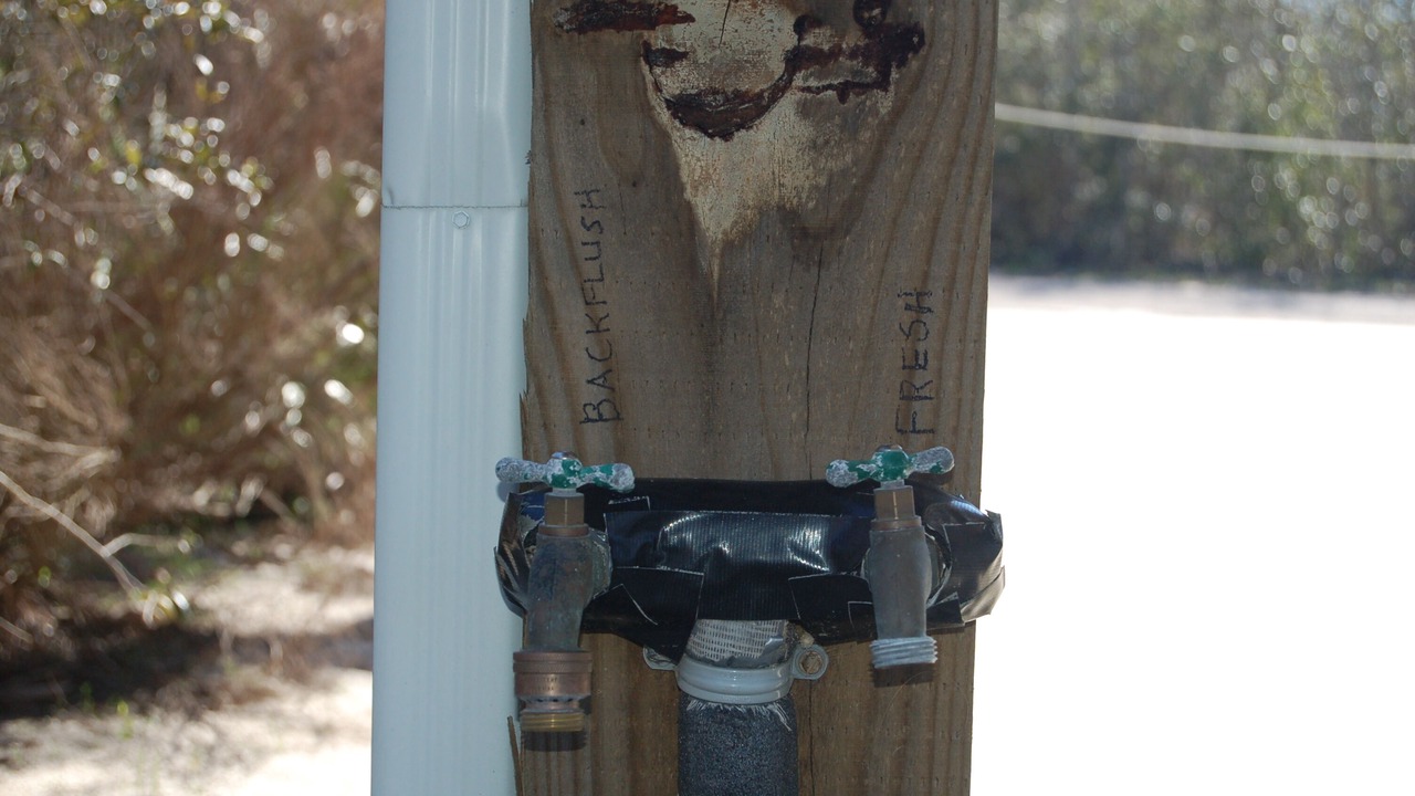 Photo of Others in Indian Pass