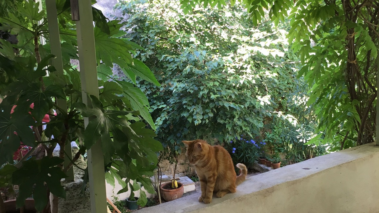 Photo of Outdoor in Pignan