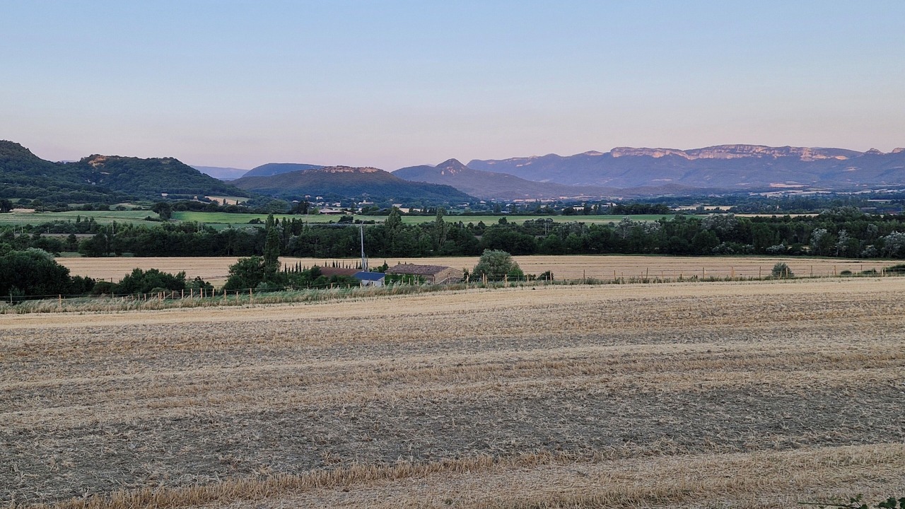 Photo of Others in Roynac