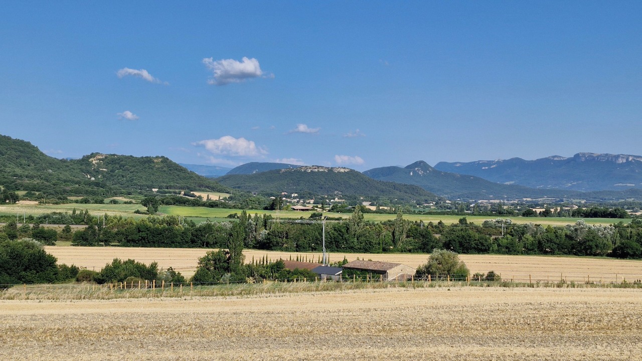 Photo of Others in Roynac