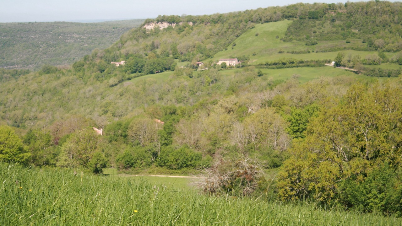Photo of Others in Penne