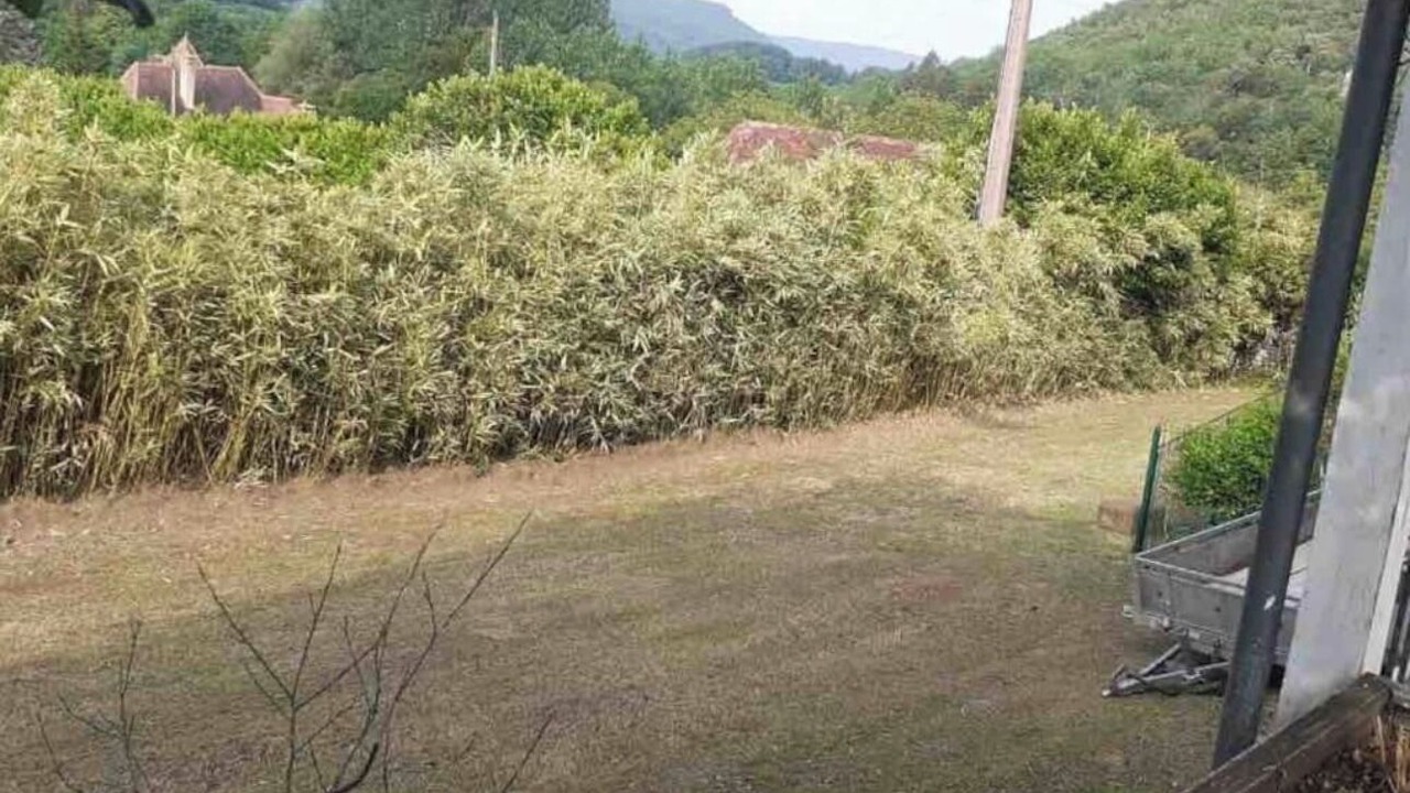 Photo of Outdoor in Vezac