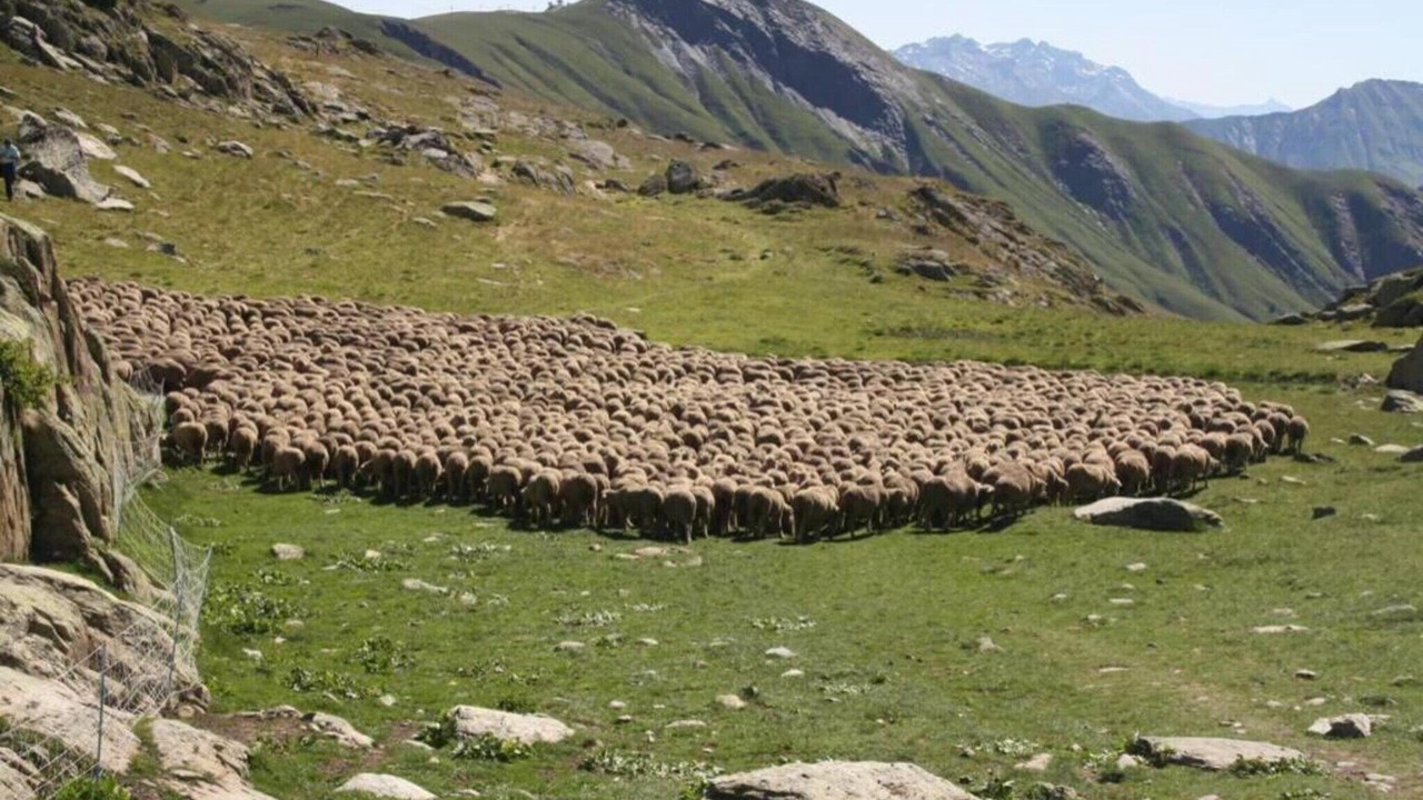 Photo of Others in Saint-Sorlin-d'Arves