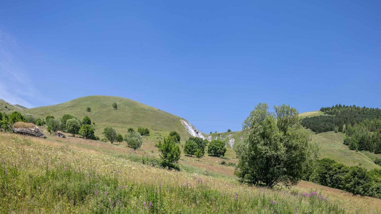 Photo of Outdoor in Saint-Sorlin-d'Arves
