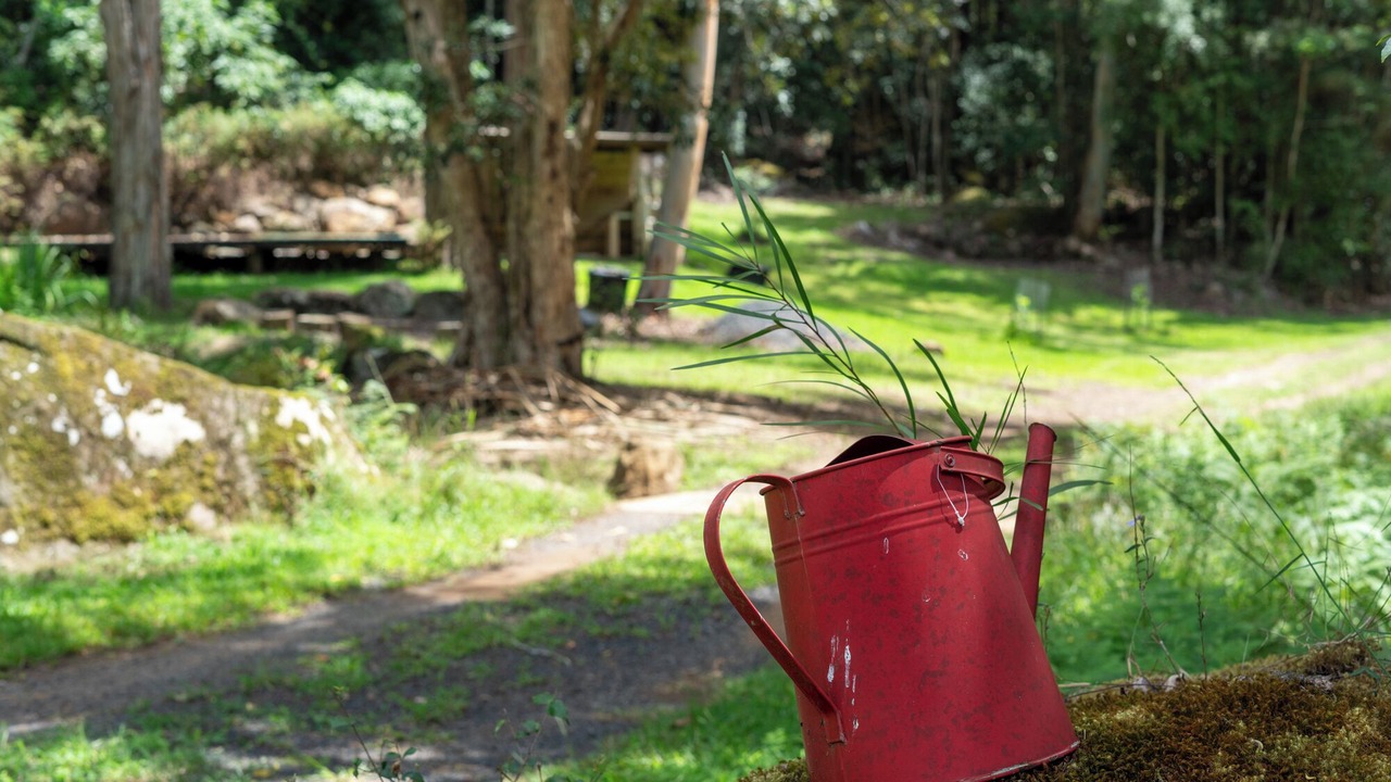 Photo of Outdoor in Cedar Brush Creek