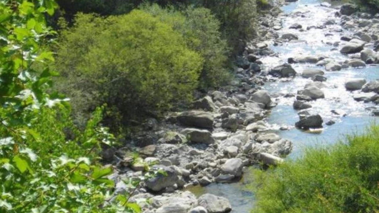 Photo of Others in Allos
