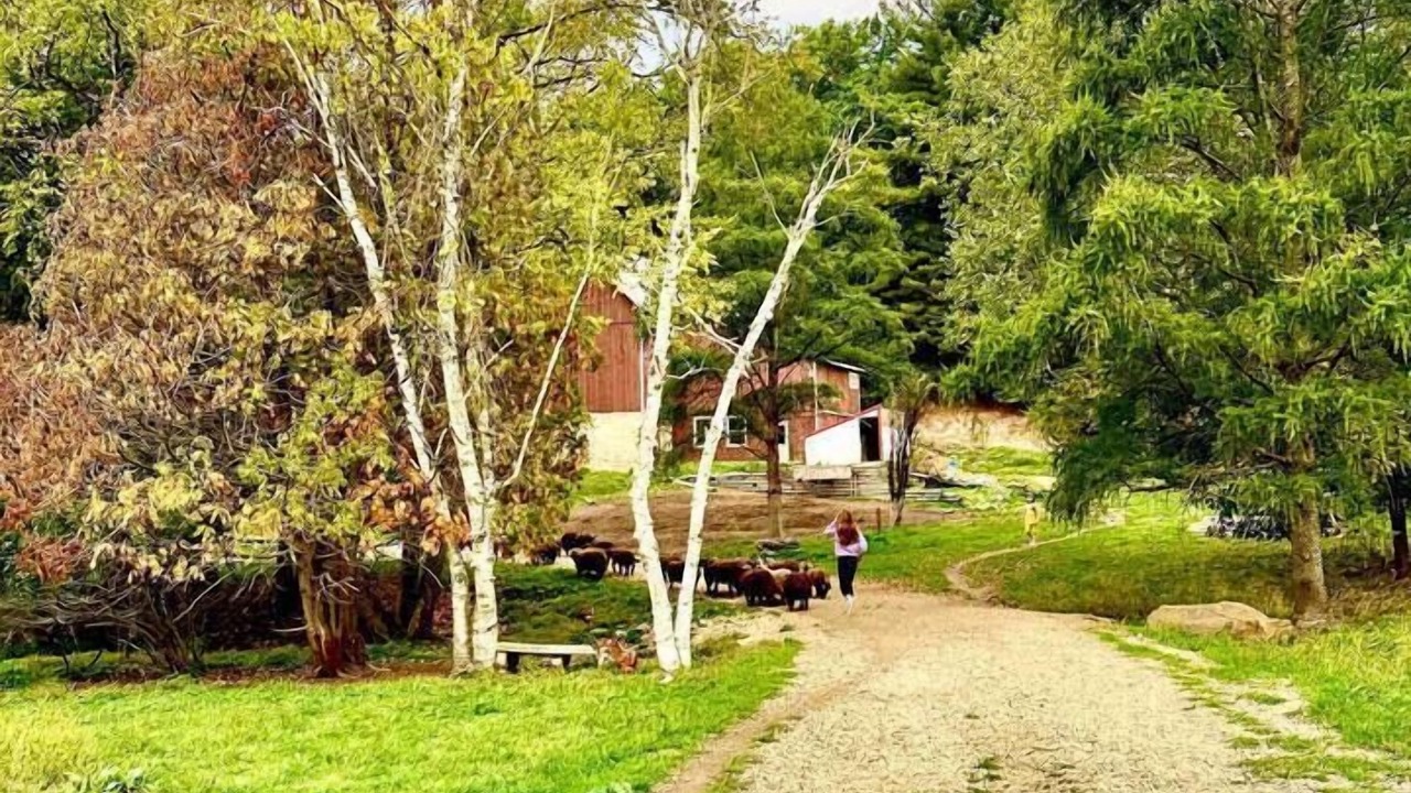 Photo of Others in Highland