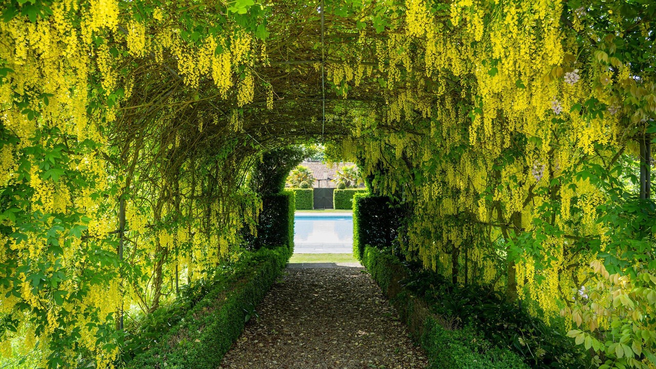 Photo of Outdoor in Tormarton