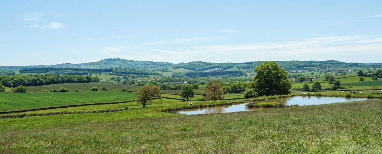 Photo of Others in Marigny