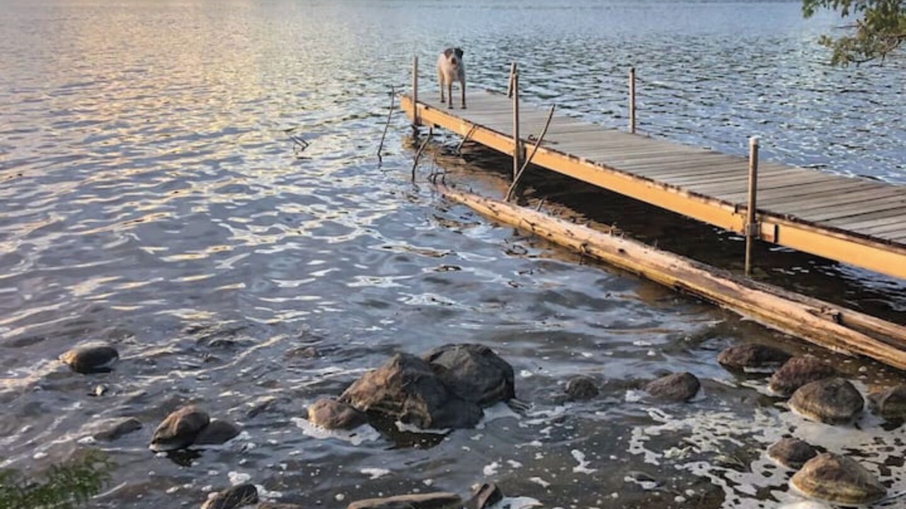 Photo of Others in Grand Marais