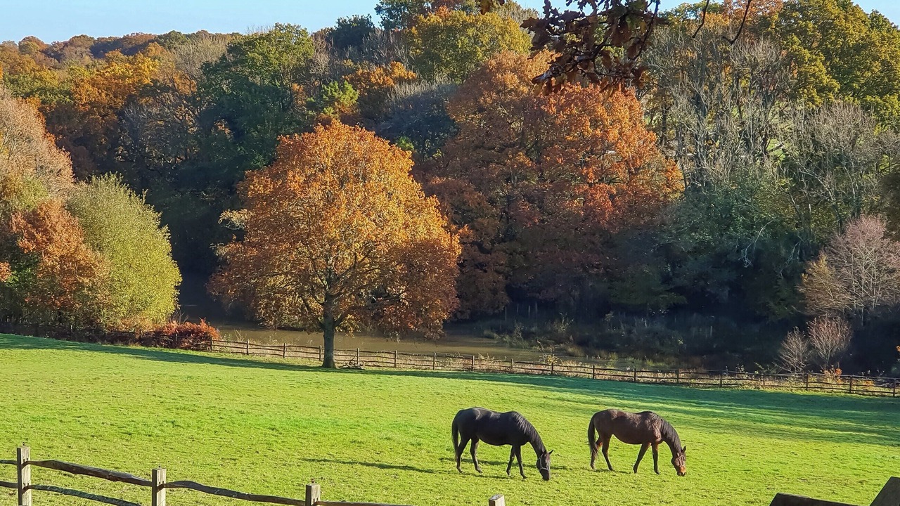 Photo of Others in Coleman's Hatch