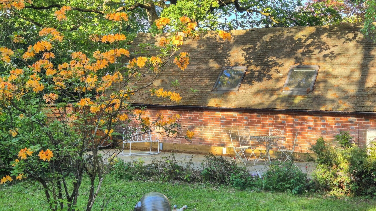 Photo of Others in Coleman's Hatch