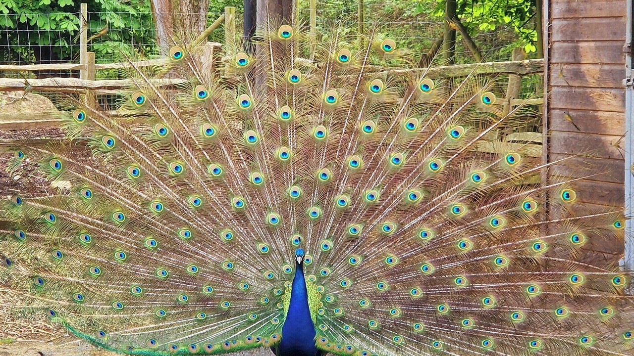 Photo of Others in Coleman's Hatch