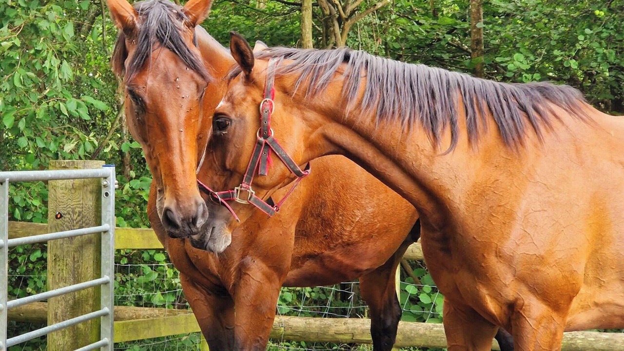 Photo of Others in Coleman's Hatch