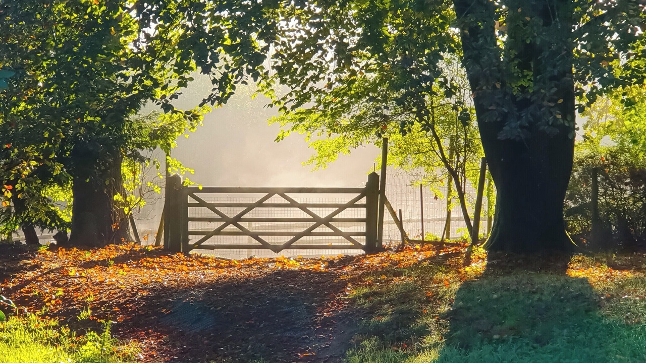 Photo of Others in Coleman's Hatch