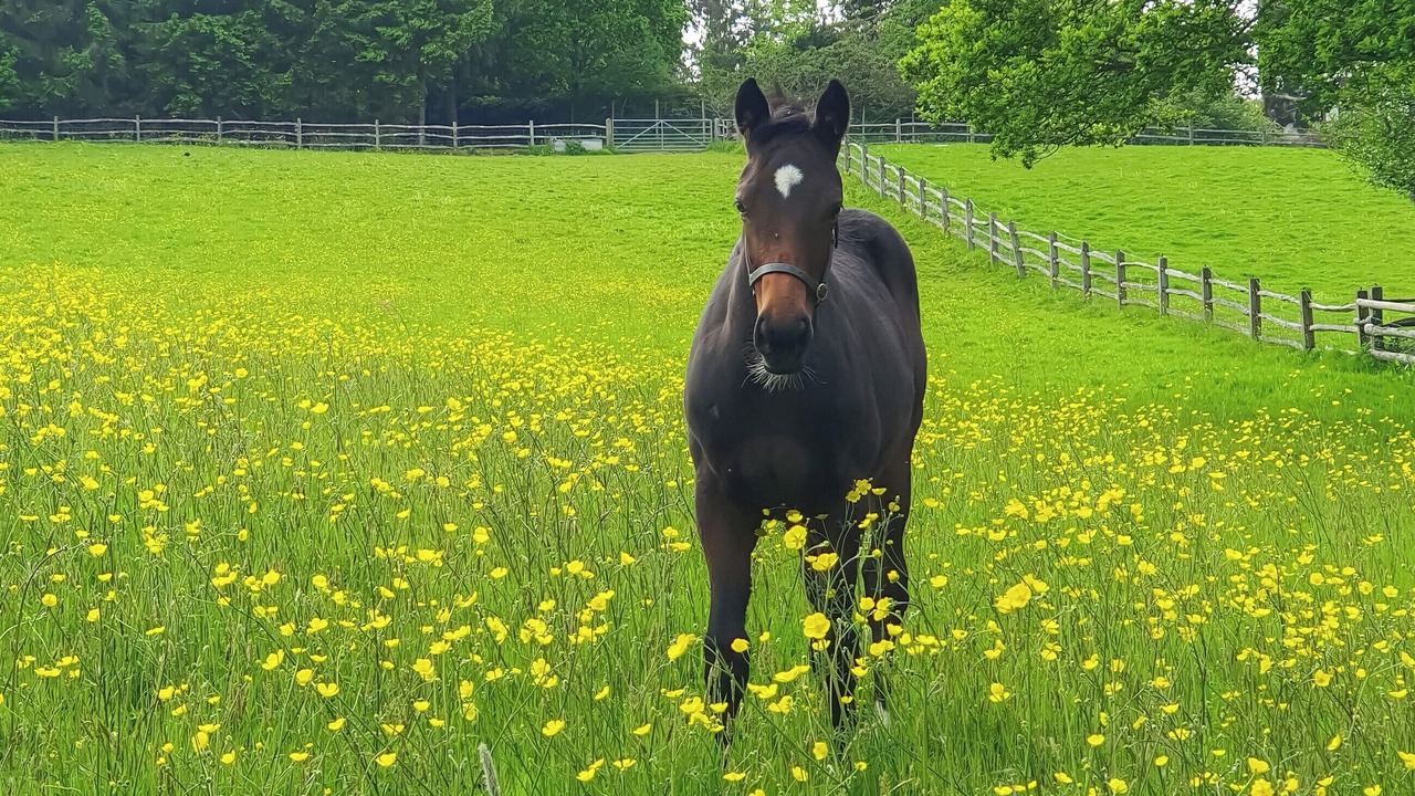 Photo of Others in Coleman's Hatch