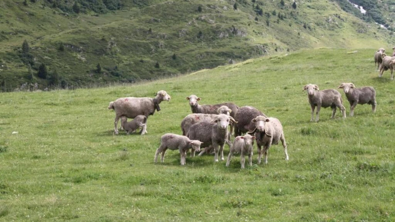 Photo of Others in Saint-Sorlin-d'Arves