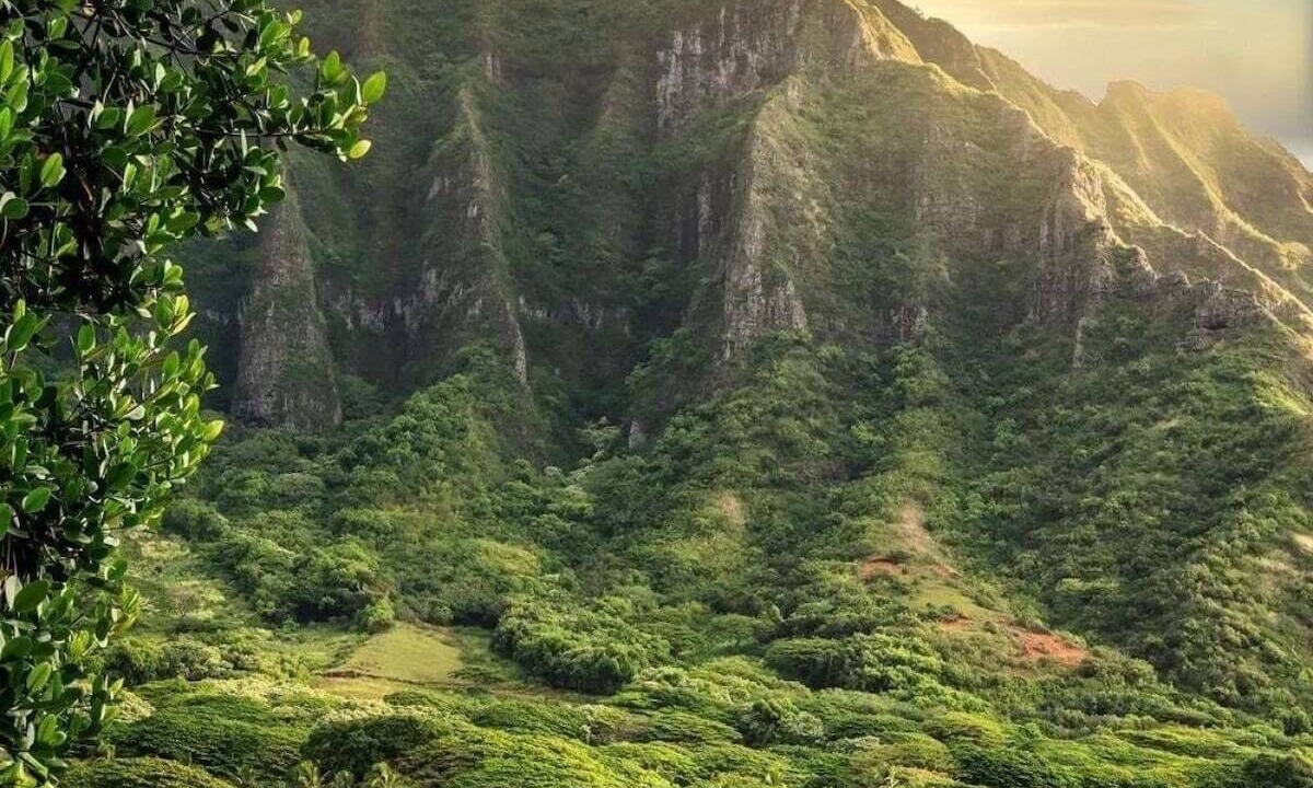 Photo of Outdoor in Hauula