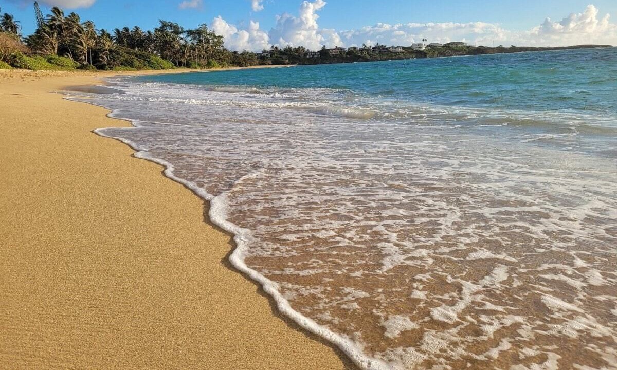 Photo of Others in Hauula