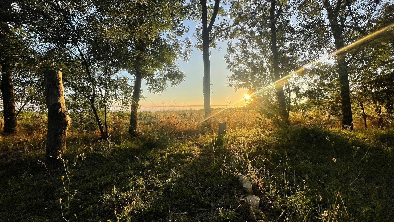Photo of Others in Loubens-Lauragais