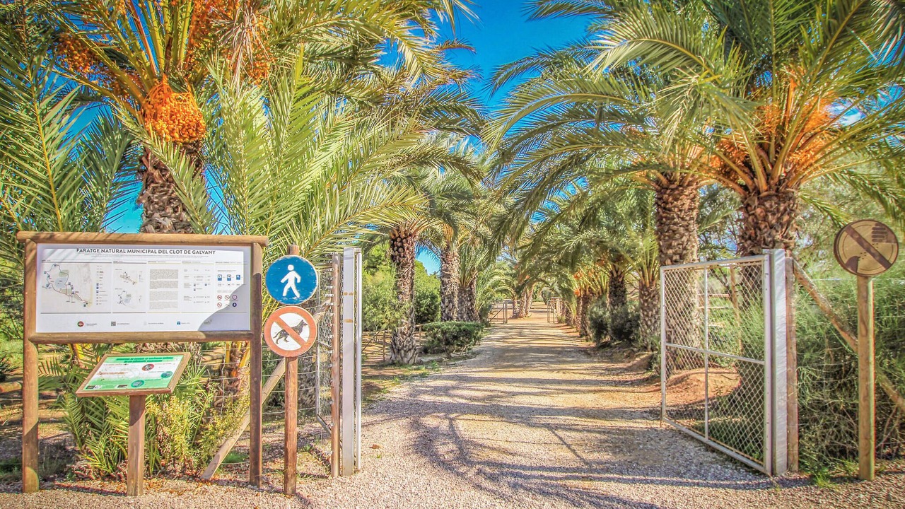 Photo of Others in Elche