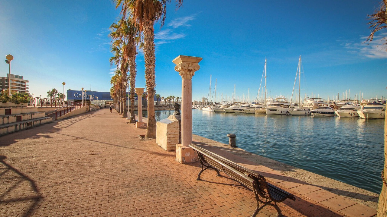 Photo of Others in Elche