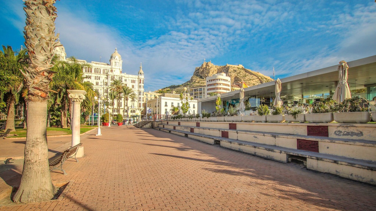Photo of Others in Elche